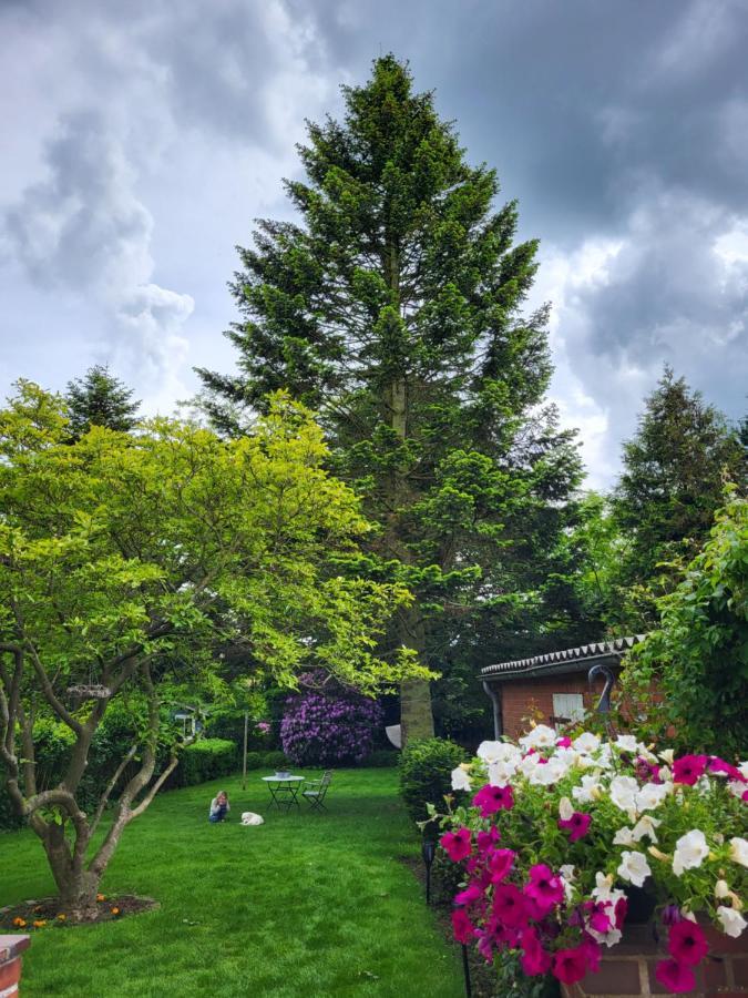 Westkueste Ferienwohnung Heide  Εξωτερικό φωτογραφία